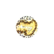 Warthin-Starry Stain Kit